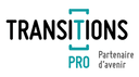 Logo Transition Pro